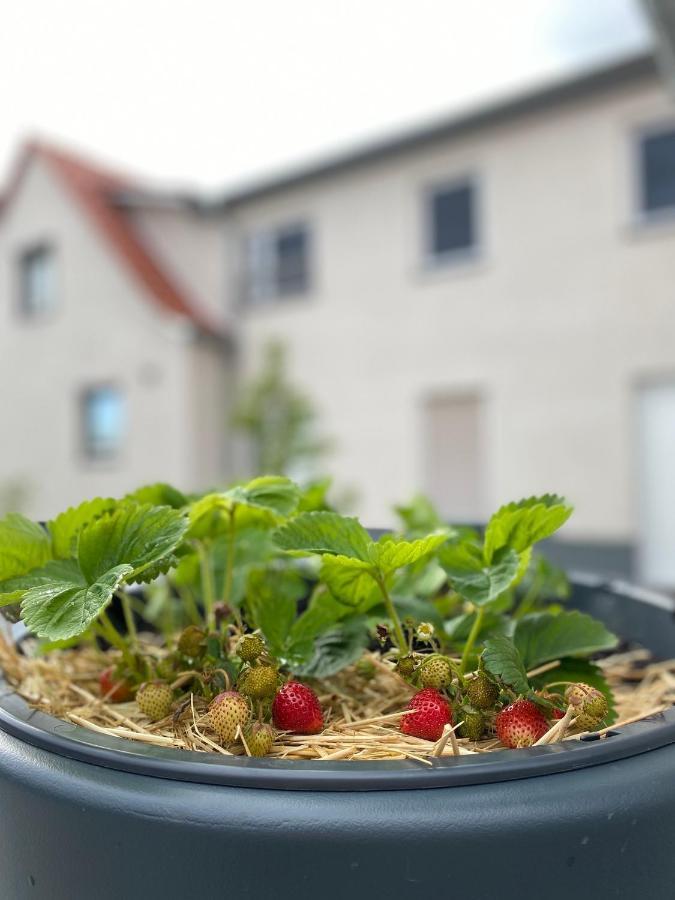 Fewo Sulzer Siedlung Erfurt "Haus 6" Apartment Luaran gambar